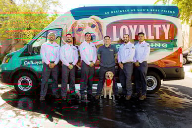 Loyalty plumbing